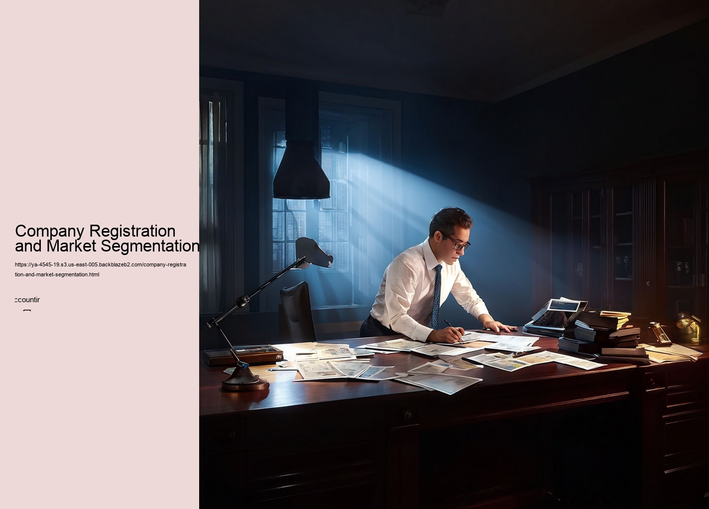 Company Registration and Market Segmentation